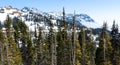 Hurricane Ridge, Olympic National Park Royalty Free Stock Photo