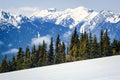 Hurricane Ridge, Olympic National Park Royalty Free Stock Photo