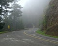 Hurricane Ridge Road in the fog Royalty Free Stock Photo