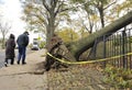 Hurricane Sandy Royalty Free Stock Photo