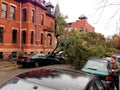 Hurricane Sandy damage over car Royalty Free Stock Photo