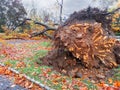 2012 Hurricane Sandy devastation in New Jersey Royalty Free Stock Photo