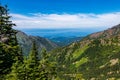 Hurricane Trail on Hurricane Ridge in Olympic National Park Royalty Free Stock Photo