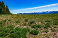 Hurricane Trail on Hurricane Ridge in Olympic National Park Royalty Free Stock Photo