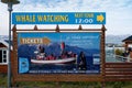 Husavik, Iceland - July, 2008: Whale watching ad