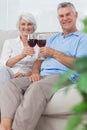 Husband and wife clinking their glasses of red wine Royalty Free Stock Photo