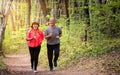 Husbanf and wife wearing sportswear and running in forest Royalty Free Stock Photo