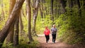 Husbanf and wife wearing sportswear and running in forest Royalty Free Stock Photo