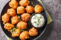 Hush puppies Deep fried cornmeal balls made with onions, garlic and butter closeup on the plate. Horizontal top view Royalty Free Stock Photo