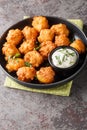 Hush puppies, southern food, deep fried cornbread balls closeup on the plate. Vertical Royalty Free Stock Photo