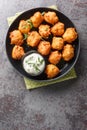 Hush puppies, southern food, deep fried cornbread balls closeup on the plate. Vertical top view Royalty Free Stock Photo