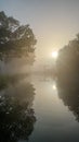 Sunrise Serenade: Mystique of Fog, Reflections and Tree Silhouettes
