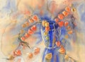 Husk tomato bouquet watercolor background