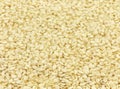 Husked sesame seeds Royalty Free Stock Photo