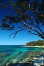 Huskisson beach at Jervis bay Royalty Free Stock Photo