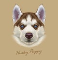 Husky animal dog cute face. Vector Alaskan puppy head portrait. Realistic fur portrait of Siberian dog on beige background