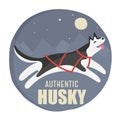 Husky authentic illustration