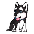 Husky breed dog in a sitting pose Royalty Free Stock Photo