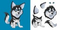 Husky. Cute funny black and white dog sits and wags its tail. Cartoon character. Classic handmate vector illustration