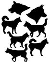 Husky dog black vector silhouette set