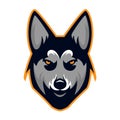 Husky Dog Head Team Mascot Logo Royalty Free Stock Photo