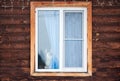 Husky dog in house window