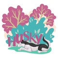 Husky dog lying on the grass, trees and bushes on the won. Dog in nature. Sleeping animal Vector cute illustration