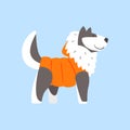 Husky Dog In Padded Coat, Arctic Animal Dressed In Winter Human Clothes Cartoon Character