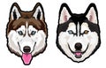 Husky dog portrait vector illustration