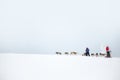 Husky dog sledding in Lapland Finland Royalty Free Stock Photo