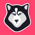 Husky dog sticker. Black and white dog fase logo. Emblem for patch. Sign or icon for mobile apps. Creative vector