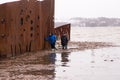 Husky dog swimming and late middle-aged couple wading out of water after a St. Lawrence River flash flood