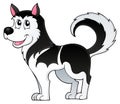 Husky dog theme image 1 Royalty Free Stock Photo