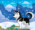 Husky dog theme image 2 Royalty Free Stock Photo