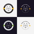 Husky head flat logo set. Set of vintage logo and logotype elements for pet shop, pet house, pet and exotic animals clinic.
