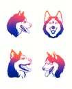 Husky head set. Collection of logo dogs. Color illustration of a husky dog. Gradient drawing of a pet.