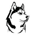 Husky logo. Portrait of a husky. Black and white dog head. Illustration of a pet. Tattoo.