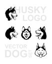 Husky logo. Vector dog set. Wolf emblem. Dog character collection. Siberian husky in profile and full face. Stickers of wolf Royalty Free Stock Photo