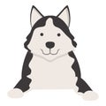 Husky mascot icon cartoon vector. Siberian dog