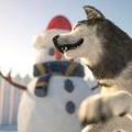Husky playing happily beside the snowman close up