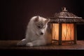 A husky puppy laying in a crescent moon