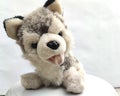 A Husky Puppy Soft Toy