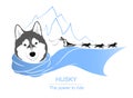 Husky Ride Logo Template