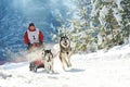 Husky sled dog racing Royalty Free Stock Photo