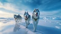 Husky sled dogs rest on sea ice. Generative AI Royalty Free Stock Photo