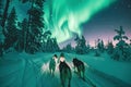 husky sled dogs running on a snowy wilderness road sleddog northern lights Generative AI Royalty Free Stock Photo