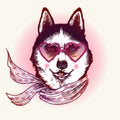 Husky in sunglasses. Fashion animal illustration