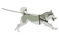 Husky dog running wearing harness.