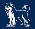 Husky Vector illustration Royalty Free Stock Photo