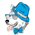 Husky wearing a hat , sunglasses and a tie .